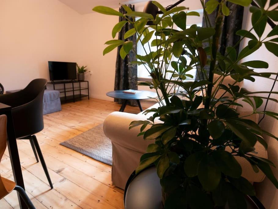 Natuerlich Mit Stil - 24-7 Und Check-In Apartman Kiel Kültér fotó